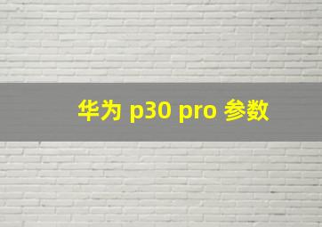 华为 p30 pro 参数